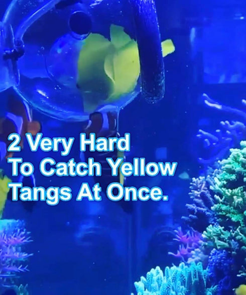 4-6-8" TankMatez Hydraulic Silent Release Bubble Fish Trap